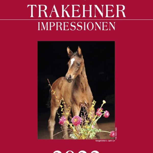 Trakehner_Kalender_2022-Deckblatt
