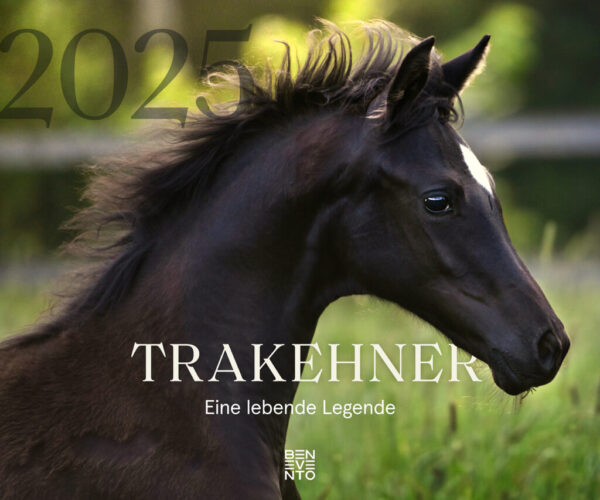 trakehner-2025