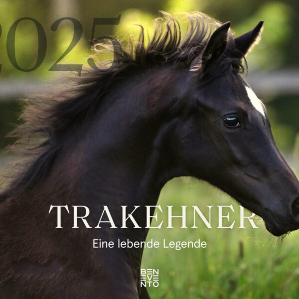 trakehner-2025
