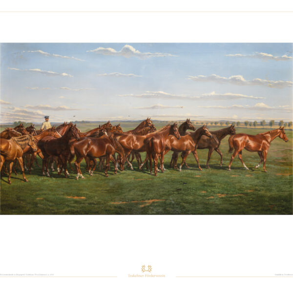 Kunstdruck Stutenherde 2